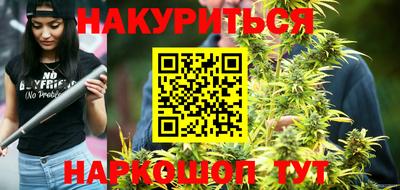 шишки Изобильный