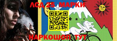 шишки Изобильный