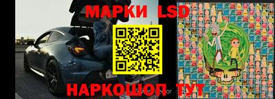 шишки Изобильный