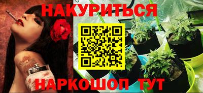 шишки Изобильный
