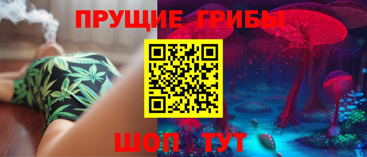 Псилоцибиновые грибы Cubensis  Можайск  Галлюциногенные грибы мухоморы 