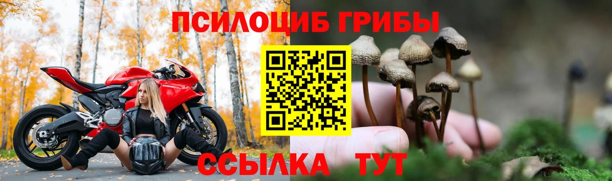 Галлюциногенные грибы Psilocybine cubensis  Вход с VPN  купить наркотики сайты  Можайск 